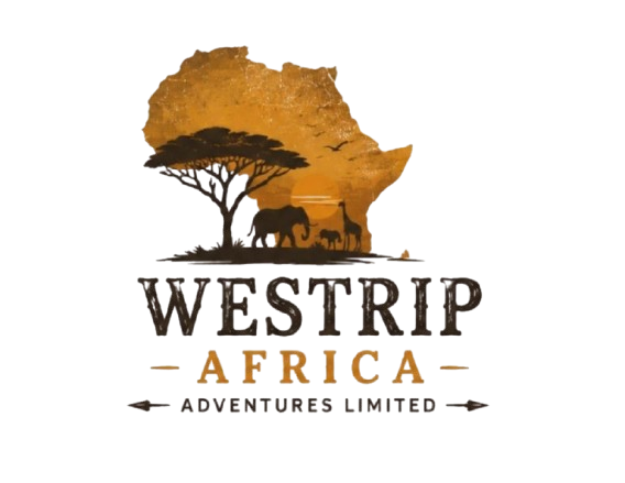 Westrip Adventures